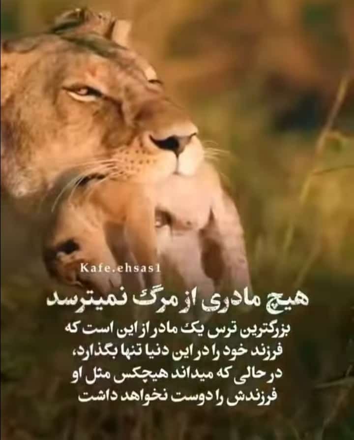 فریبا رستمی