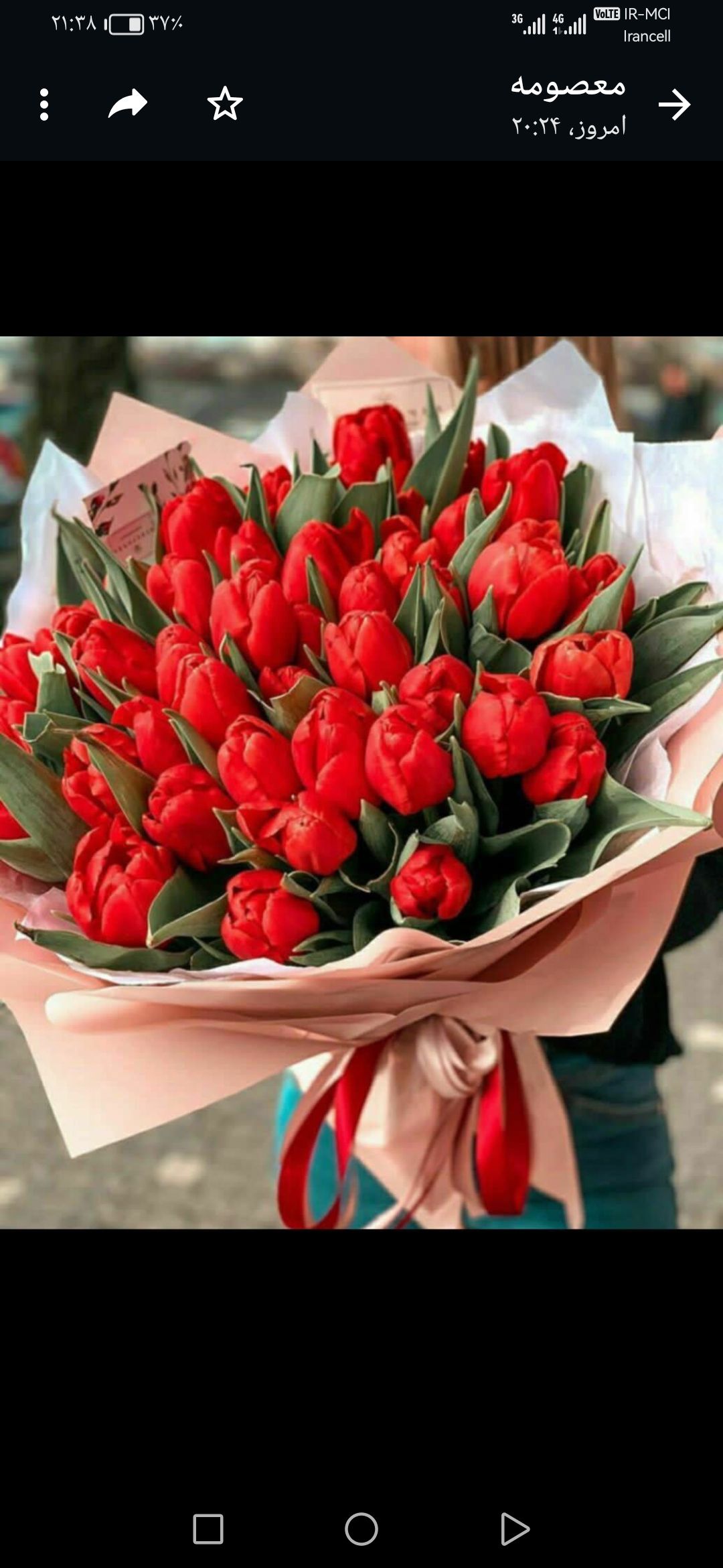 مهتاب قنبری